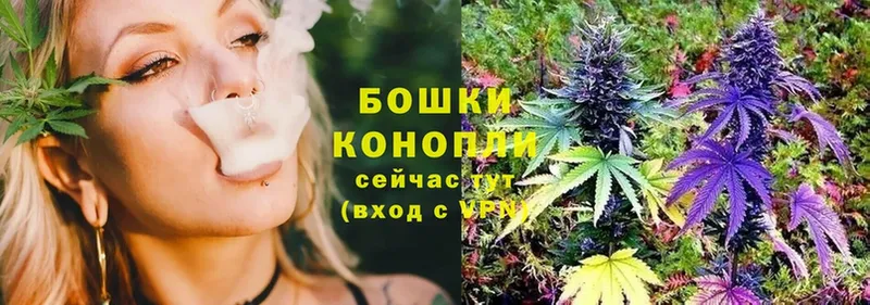 Каннабис SATIVA & INDICA  Аксай 